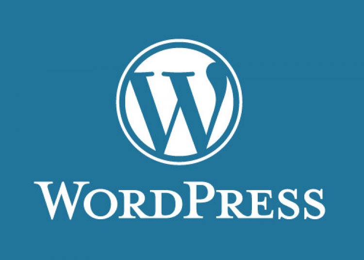 Wordpress : The CMS to use